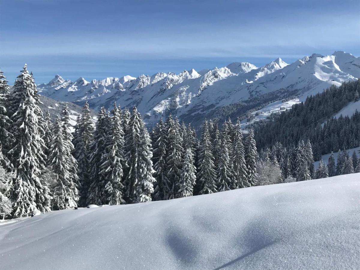 LAPRESKI, bel appartement esprit chalet, très confortable 4 étoiles Thônes Esterno foto