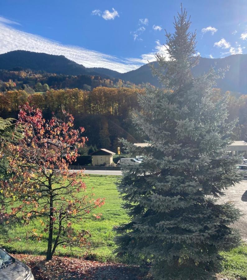 LAPRESKI, bel appartement esprit chalet, très confortable 4 étoiles Thônes Esterno foto